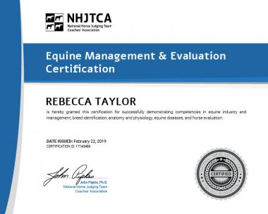 Equine Management & Evaluation Certification